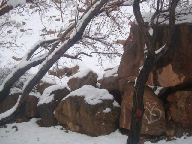 کاوه وحیدی آذر - زمستان